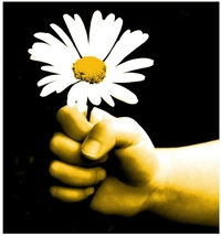 bloom where planted.jpg